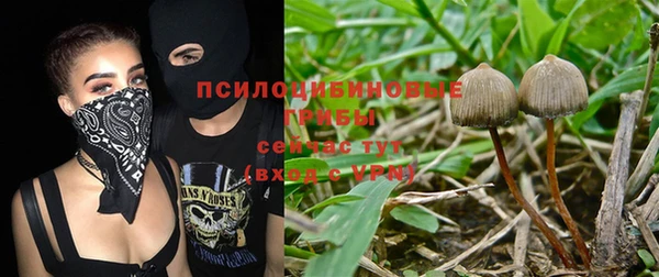 MESCALINE Аркадак