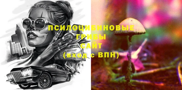 MESCALINE Аркадак