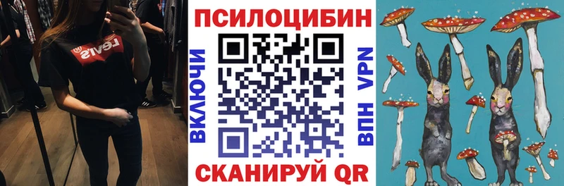 Псилоцибиновые грибы Magic Shrooms  купить закладку  Пушкино 