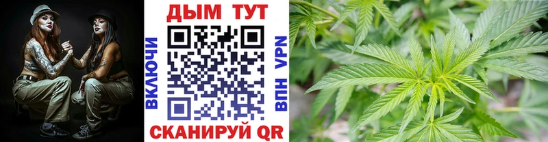 Шишки марихуана MAZAR  Пушкино 